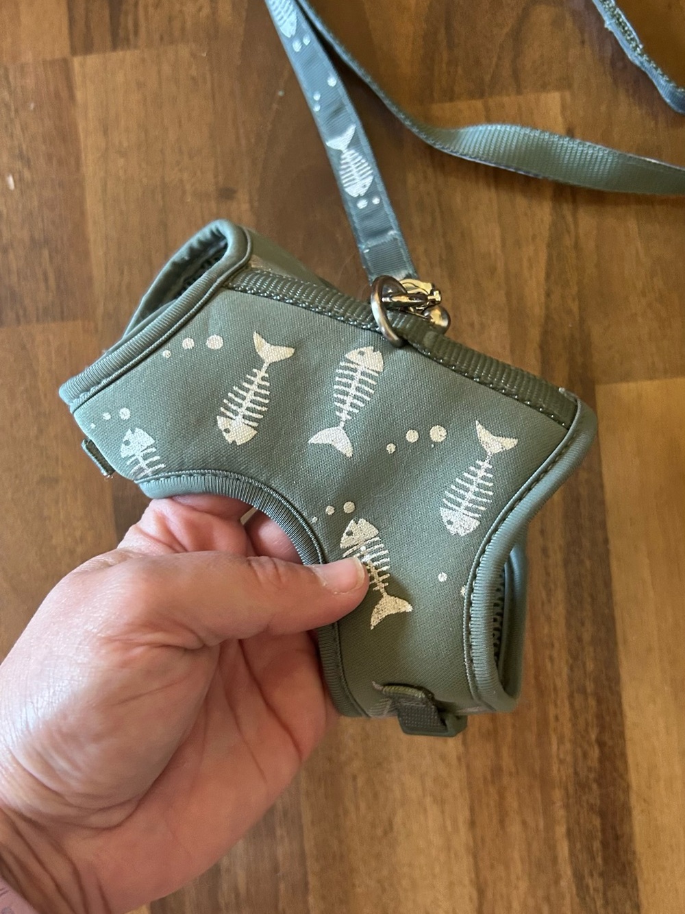 Olive Green Fishbone Kitten Harness with Leash